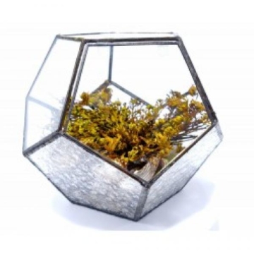 Väike klaasist maailm – taimeterraarium