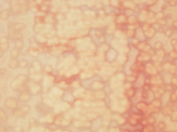 00-031 (15x30)
