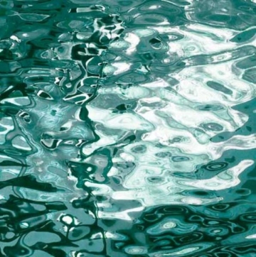 SC/528-1W SilverCoat, "TreeFoil" (30*20)