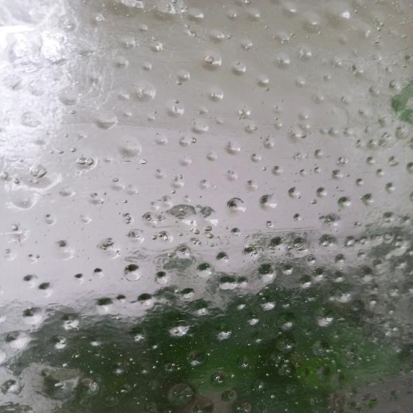 Kokomo Clear "Veepiisk"