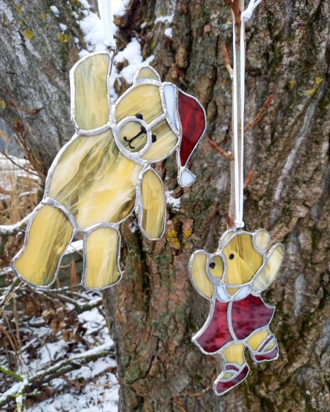 Karu päkapiku poiss