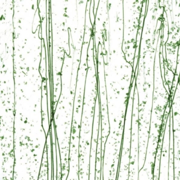 Bullseye Mardi Gras 4217-0000 (25*25), Dark Green