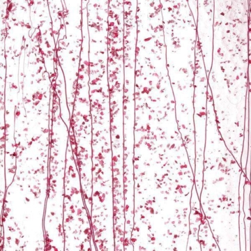 Mardi Gras 4215-0000 (25*25)
