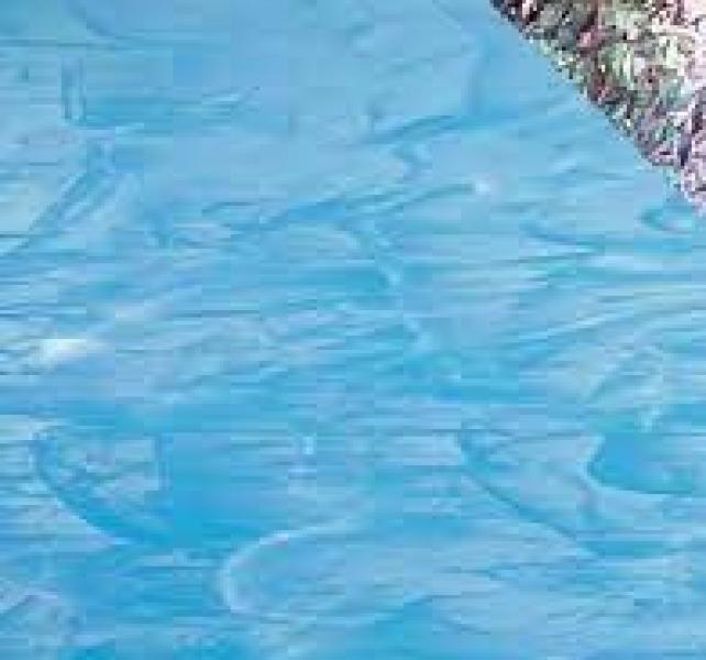 833-91S/IRID (30*20)