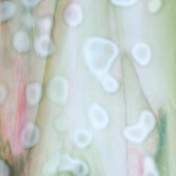 Bullseye 6243-0000 (25*25)