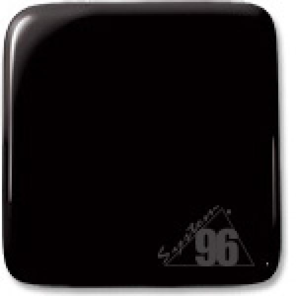 1009S-F (30*30)