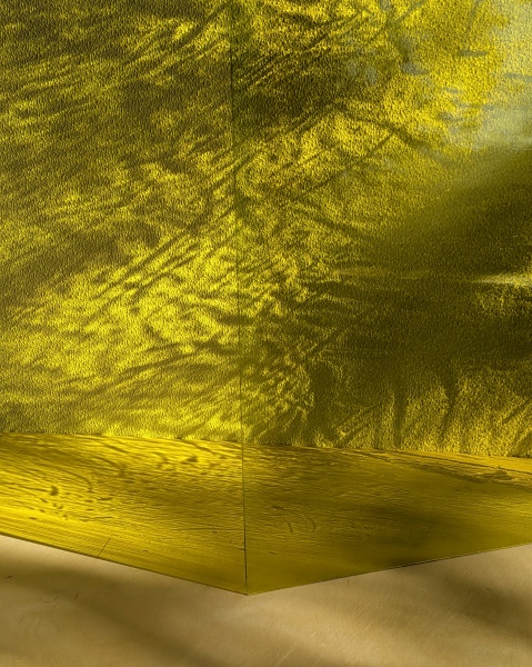 Saint Just 186, Sidrun kollane (30x30)