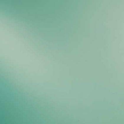 Spectrum "Põdrasammal" (30*20)